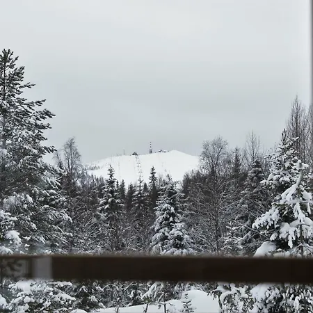 Tunturituuli Σαλέ