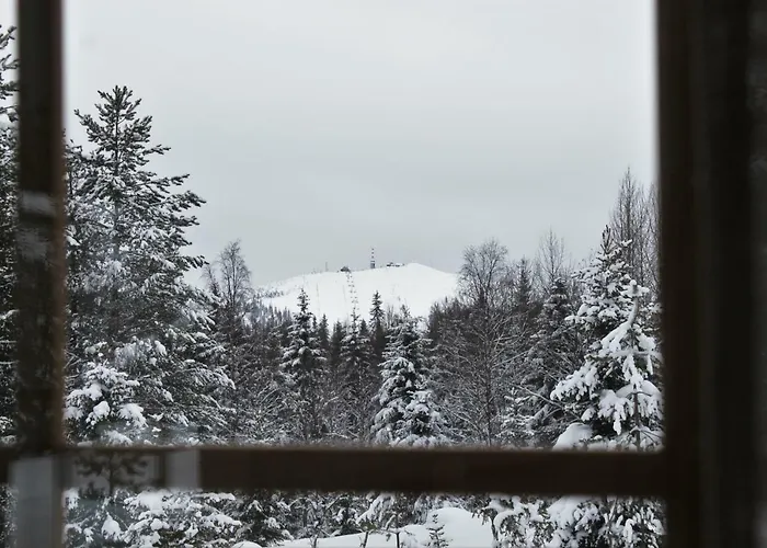 Tunturituuli Chalet